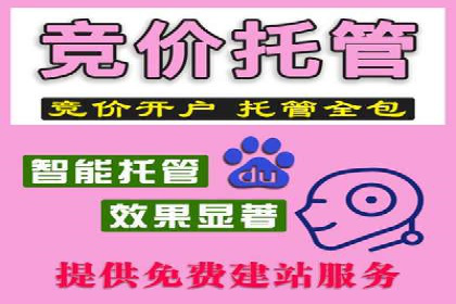 行业顶尖SEM竞价员的策略及成功案例